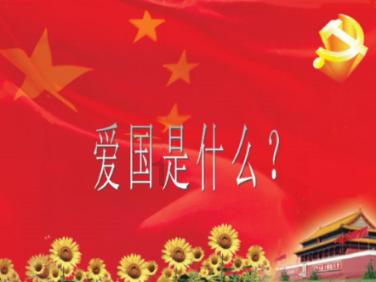 动物帮帮忙保卫家园